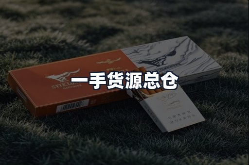 一手货源总仓